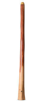 Wix Stix Didgeridoo (WS447)